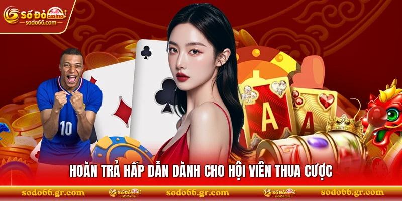 Hoàn trả hấp dẫn dành cho hội viên thua cược